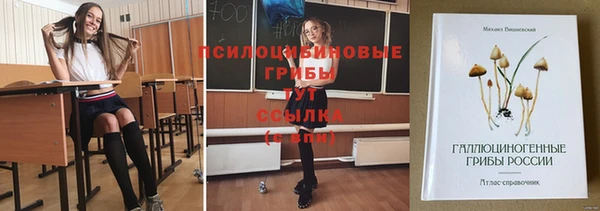 молекула духа Бугульма