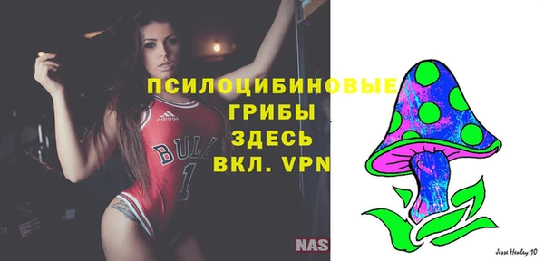 молекула духа Бугульма