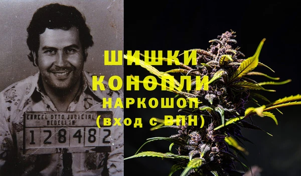 молекула духа Бугульма