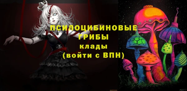 мдпв Бронницы