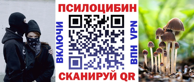 Псилоцибиновые грибы мухоморы  продажа наркотиков  Навашино 
