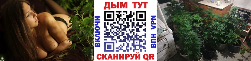 купить  цена  Навашино  Шишки марихуана SATIVA & INDICA 